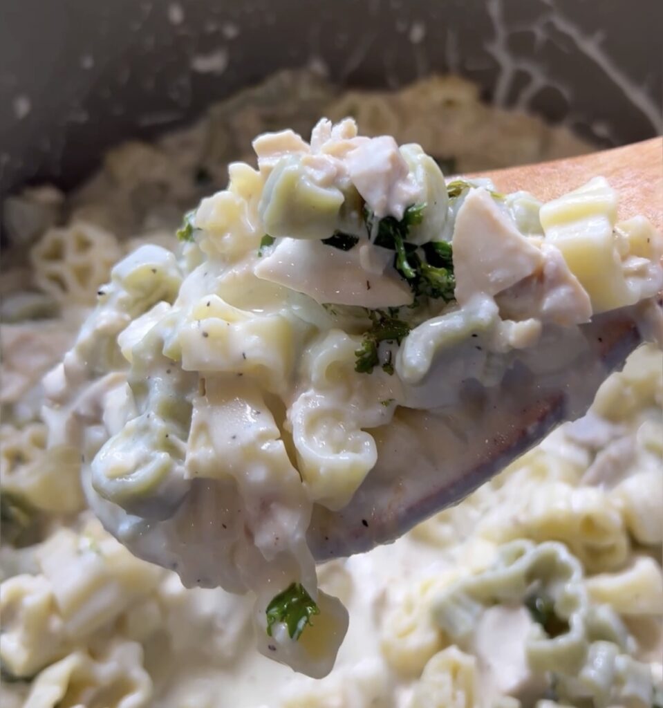 Chicken Alfredo Pasta