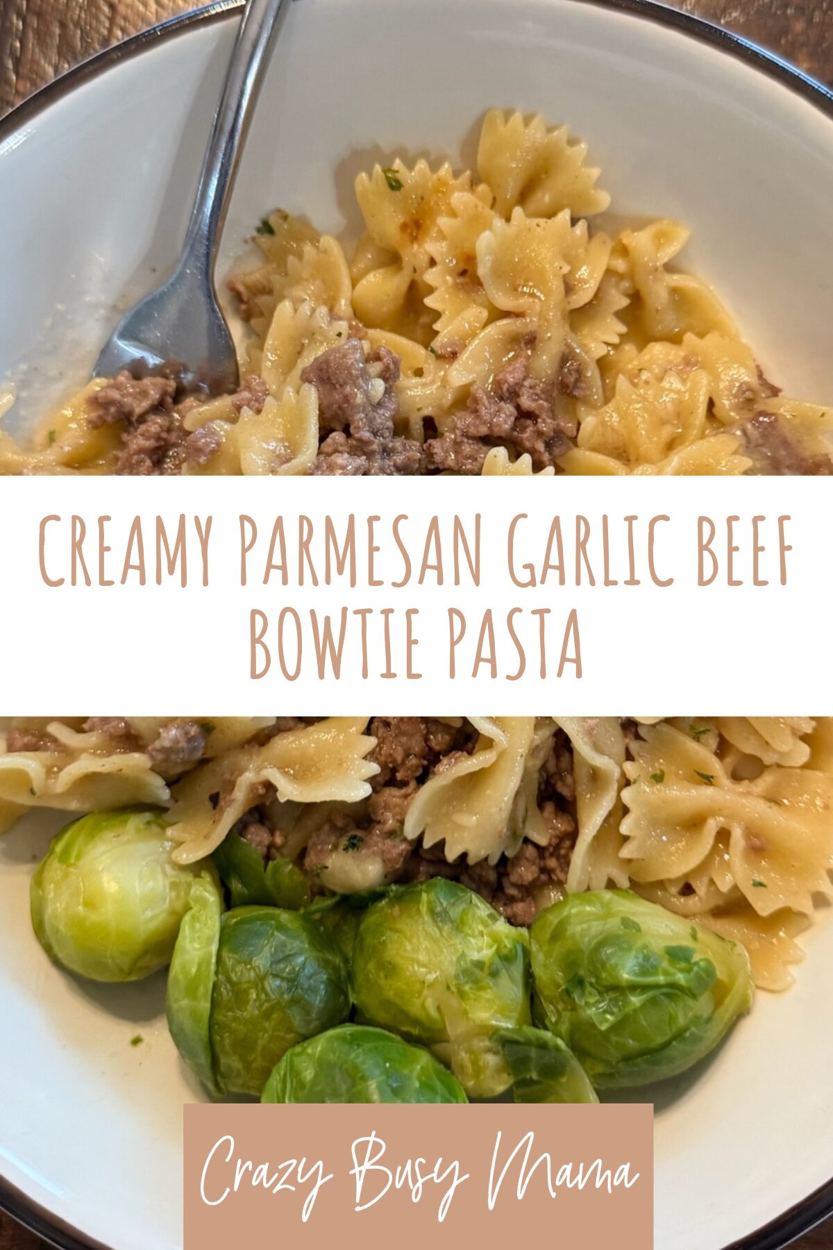 Creamy Parmesan Garlic Beef Bowtie Pasta