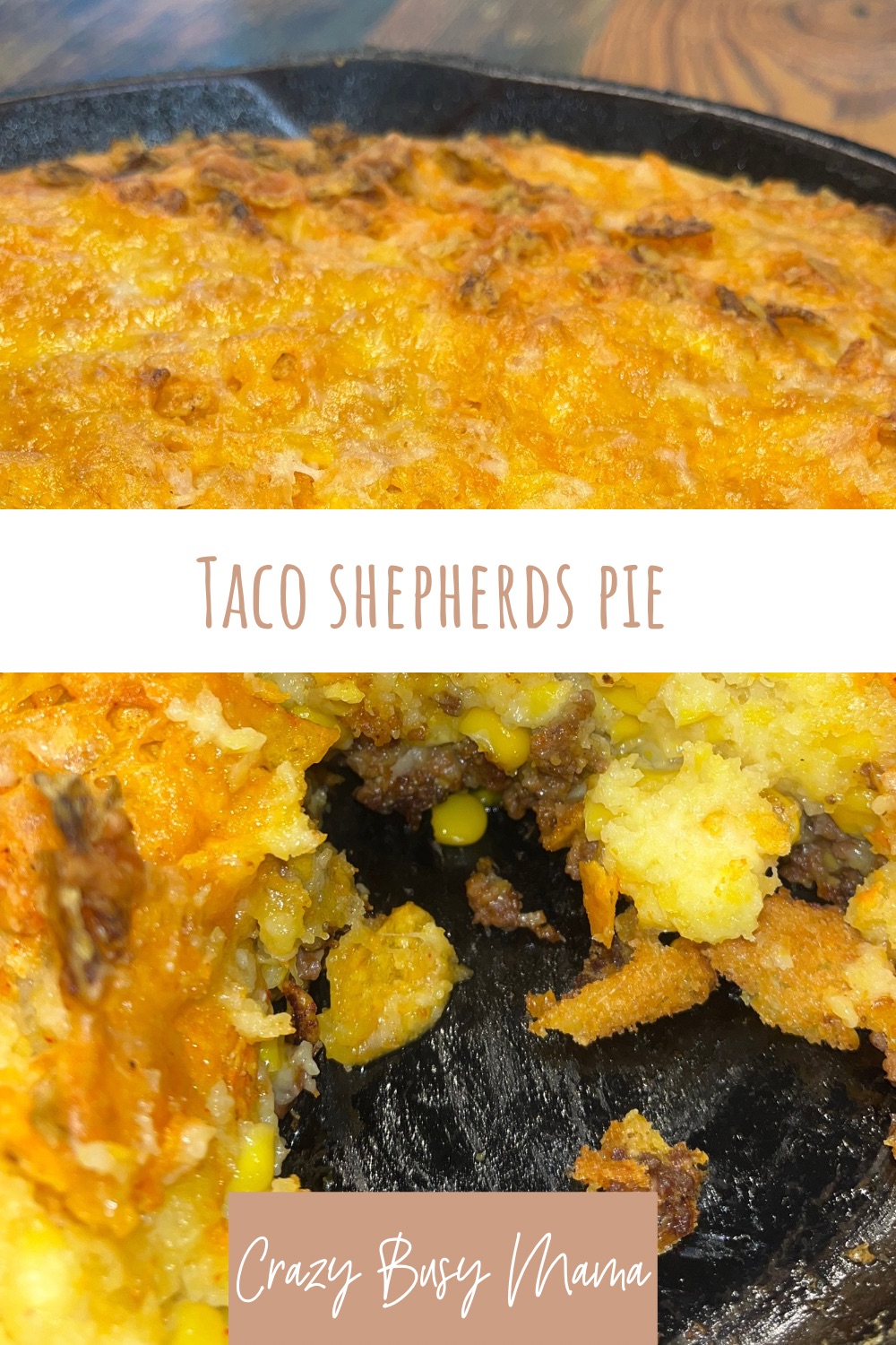 Taco Shepherd’s Pie