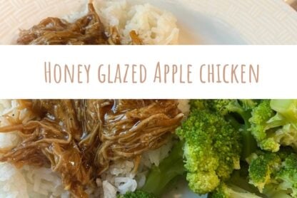 honey glazed apple chicken recipe slow cooker