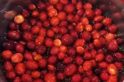 cranberry cream cheese dip