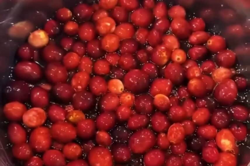 cranberry cream cheese dip